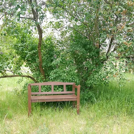 Kleine Galerie Apartment Fuer 3 Mit Kueche Kamin Netflix Parken Und Hofladen Steinhofel Exterior photo